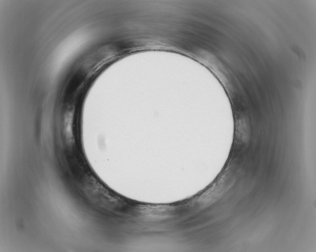 X0000111451150200908031408