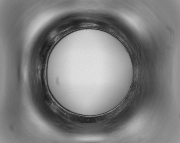X0000111451151200908031408