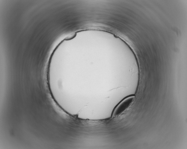 X0000111451152200908031408