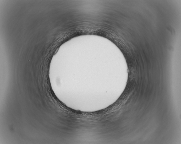 X0000111451153200908031407