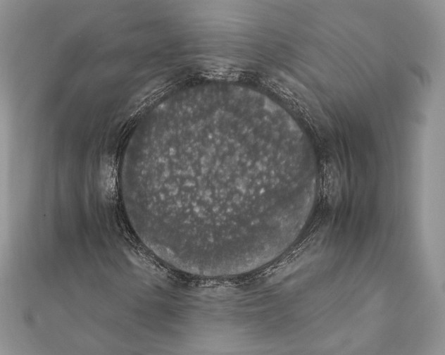 X0000111451154200908031407