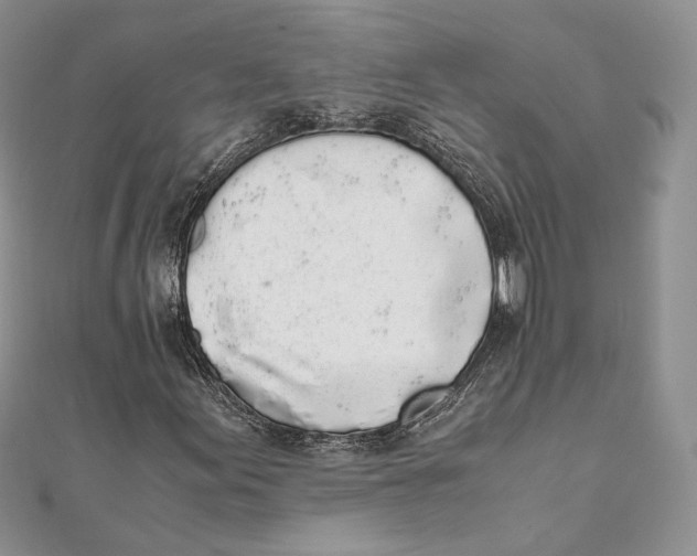 X0000111451155200908031407