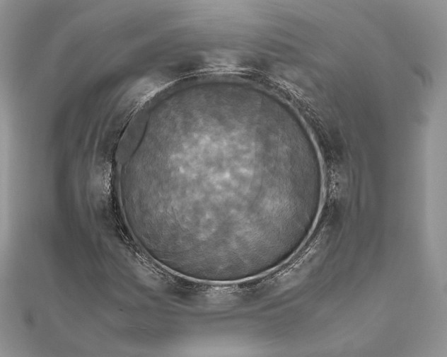 X0000111451161200908031407