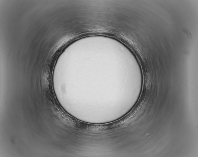 X0000111451163200908031407