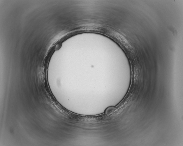 X0000111451164200908031407