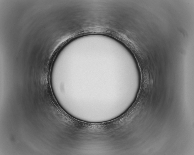 X0000111451166200908031407