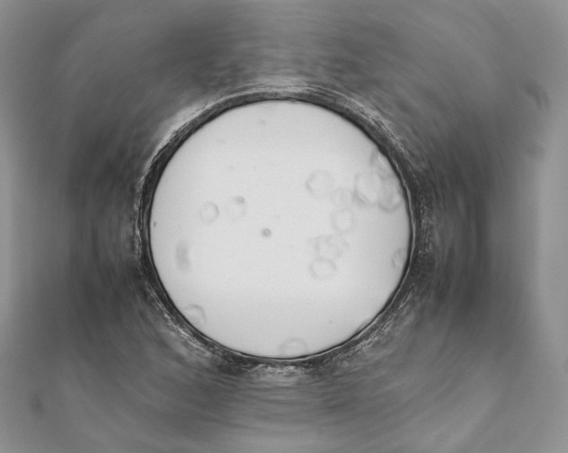 X0000111451168200908031407