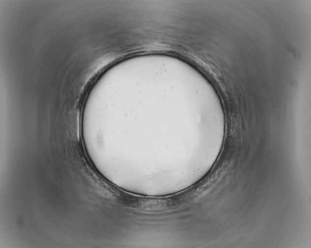 X0000111451171200908031407