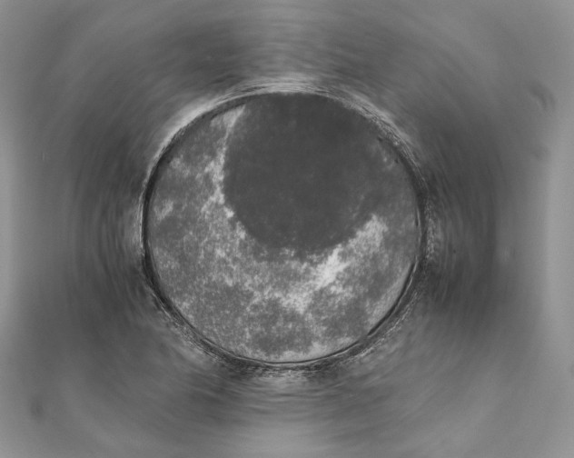 X0000111451174200908031407