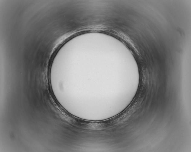 X0000111451176200908031407