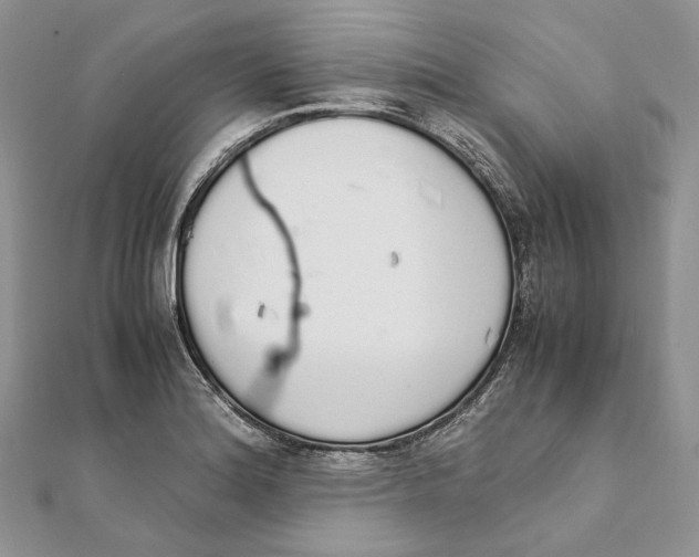 X0000111451180200908031407