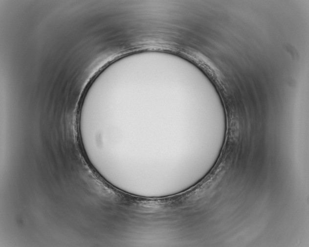 X0000111451182200908031407