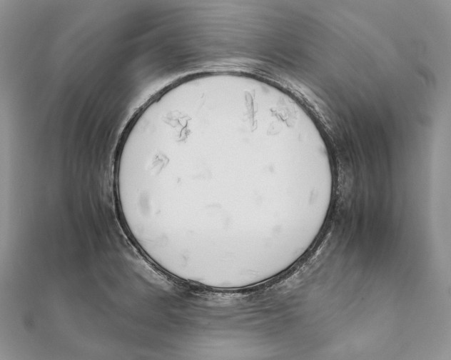 X0000111451184200908031407