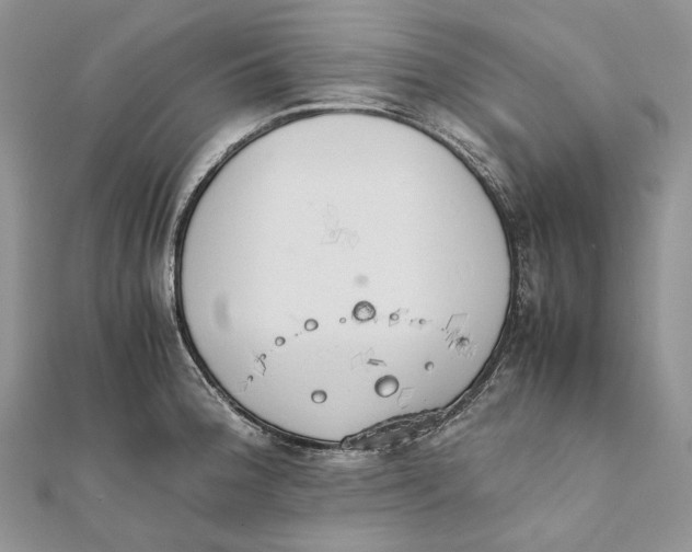 X0000111451188200908031407