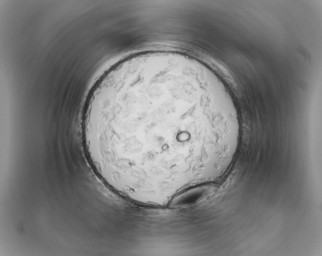 X0000111451192200908031407