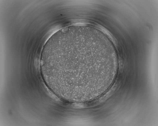 X0000111451194200908031407