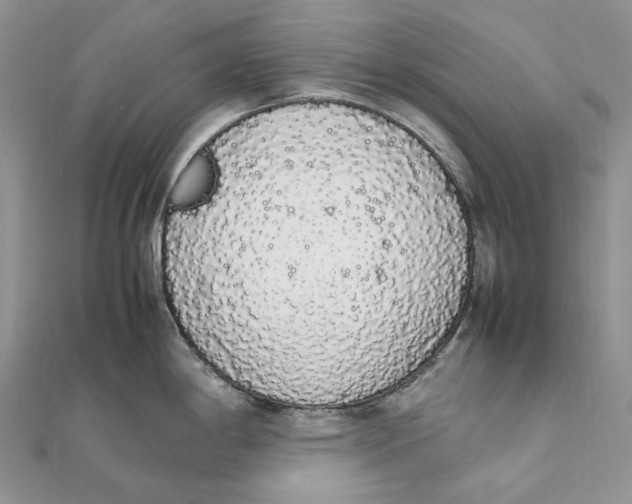 X0000111451198200908031407