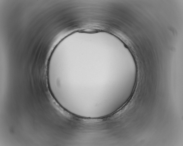 X0000111451200200908031407