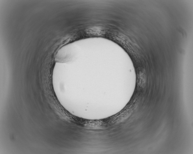 X0000111451201200908031406