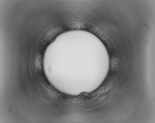 X0000111451202200908031406