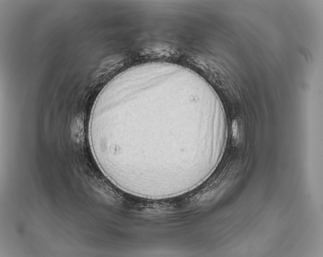 X0000111451203200908031406