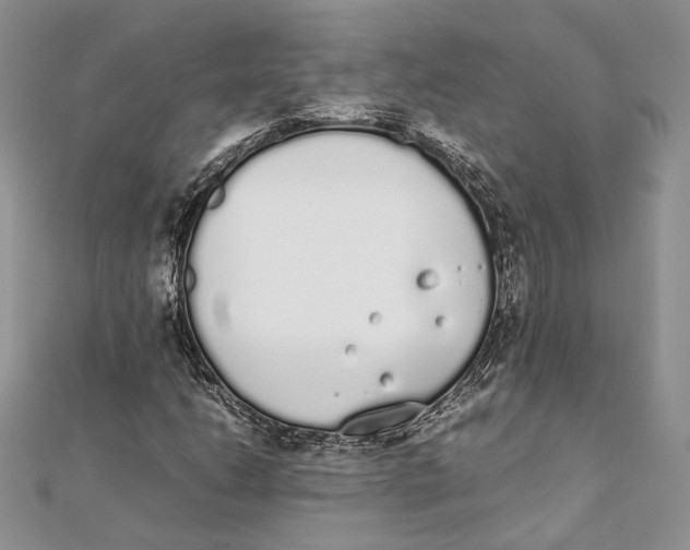 X0000111451206200908031406