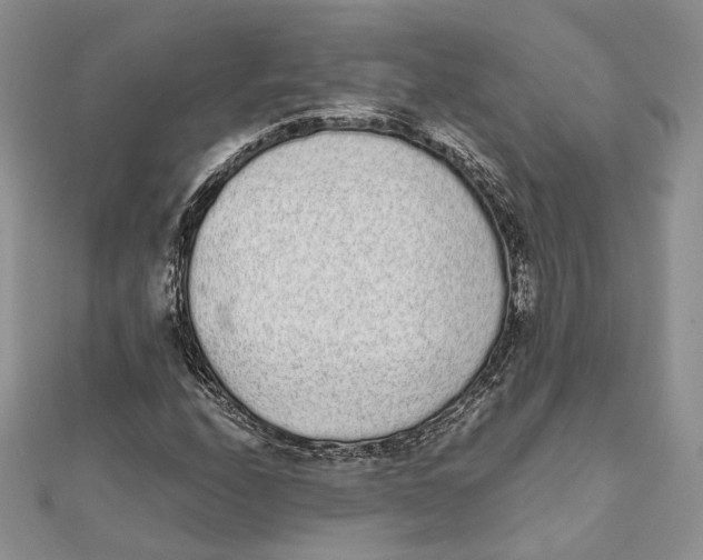 X0000111451208200908031406