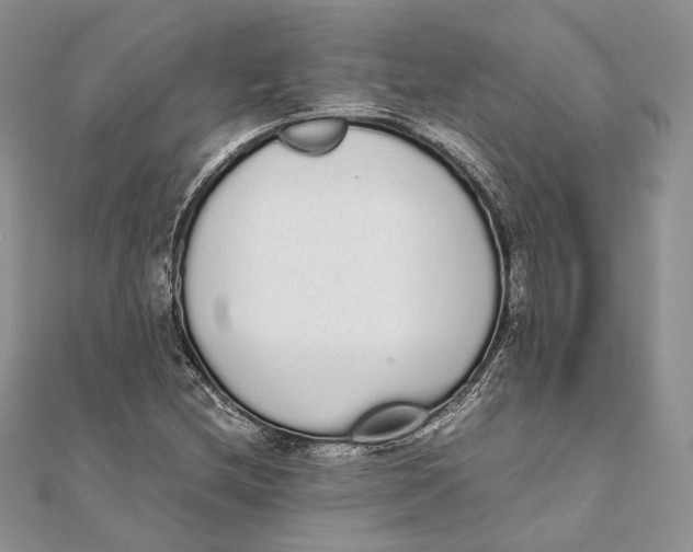 X0000111451212200908031406