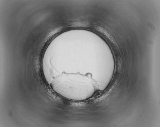 X0000111451213200908031406