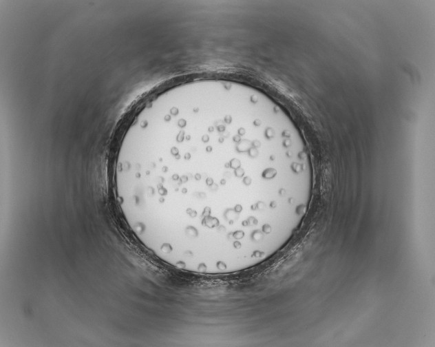 X0000111451214200908031406