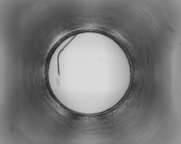 X0000111451216200908031406