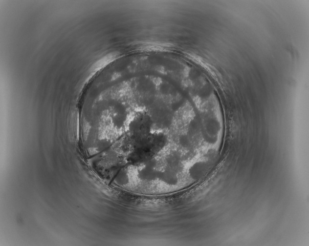 X0000111451219200908031406