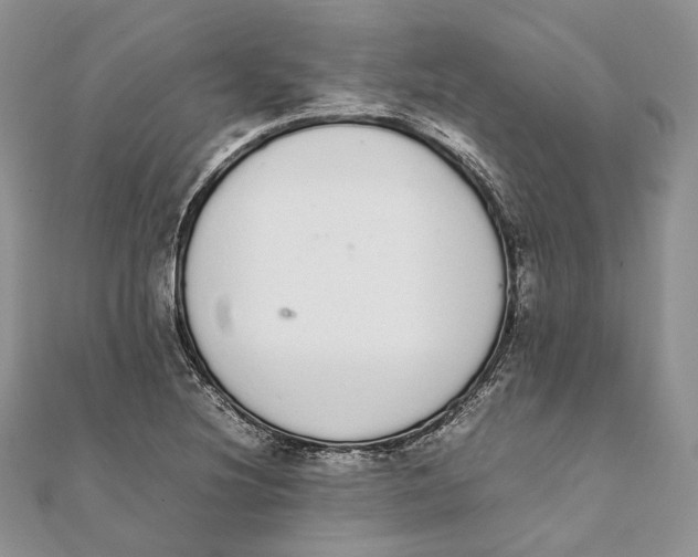 X0000111451220200908031406