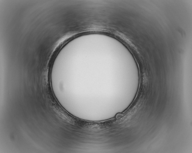 X0000111451222200908031406