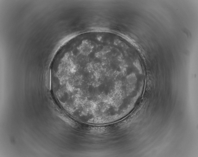 X0000111451223200908031406