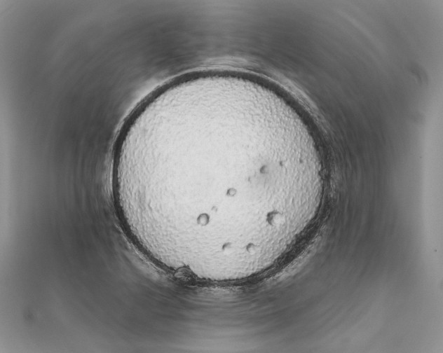 X0000111451224200908031406