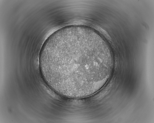 X0000111451226200908031406