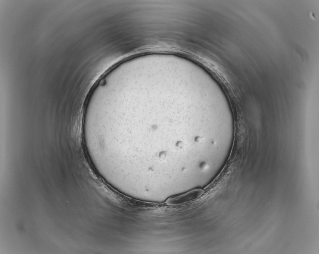 X0000111451228200908031406