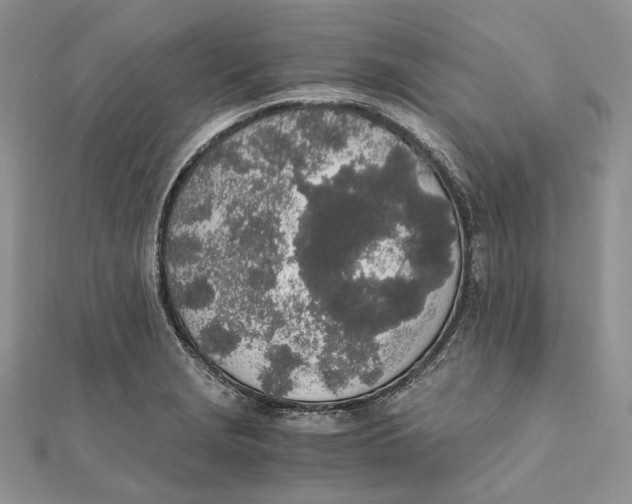X0000111451229200908031406