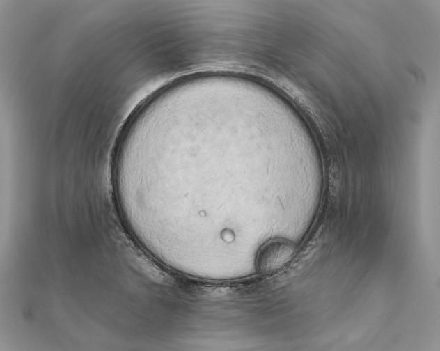 X0000111451230200908031406