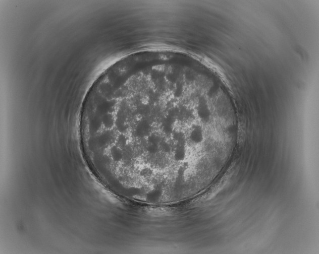 X0000111451231200908031407