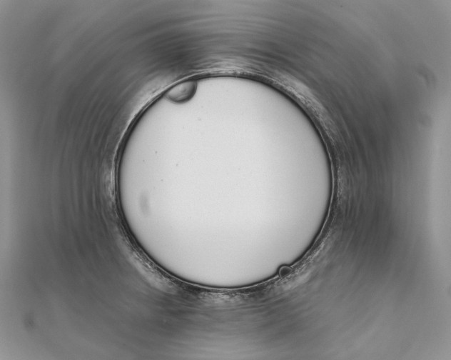 X0000111451234200908031407