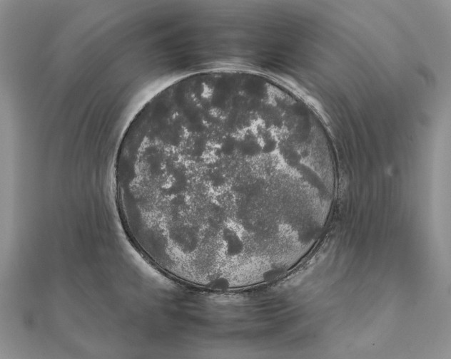 X0000111451239200908031407