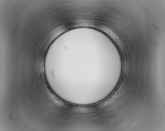 X0000111451241200908031407