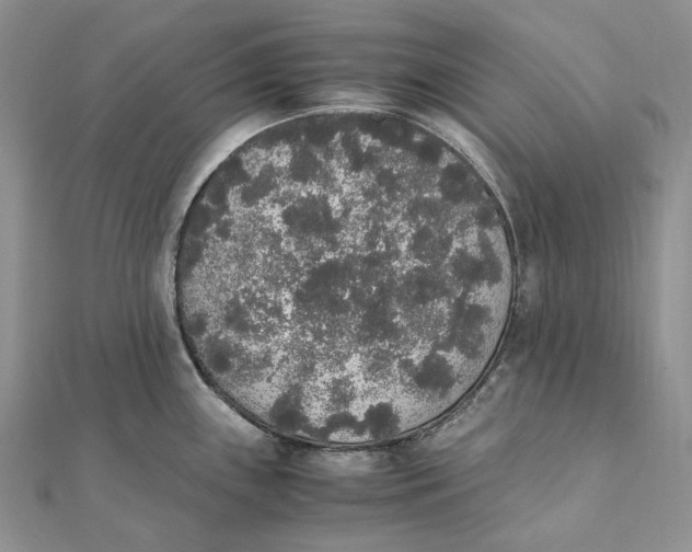 X0000111451243200908031407