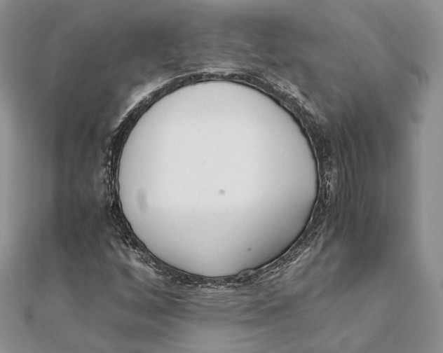 X0000111451256200908031406