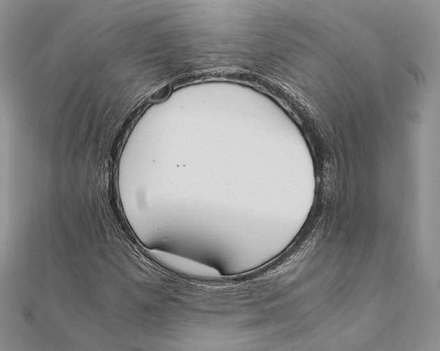 X0000111451257200908031406