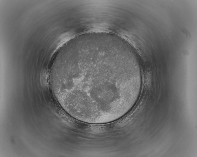 X0000111451258200908031406