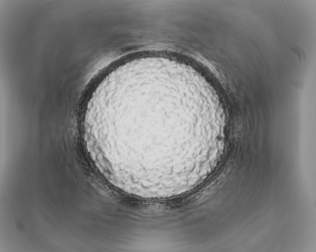 X0000111451263200908031406