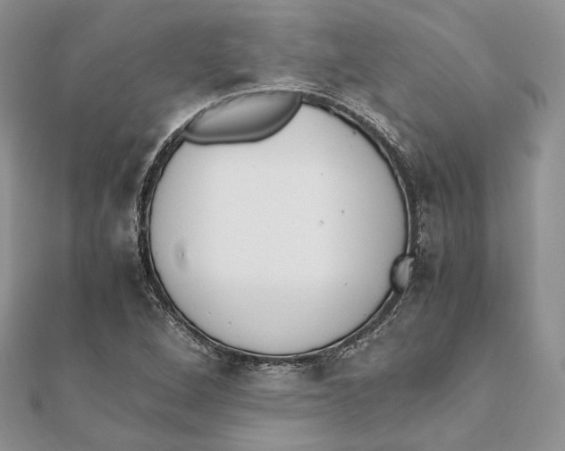 X0000111451264200908031406